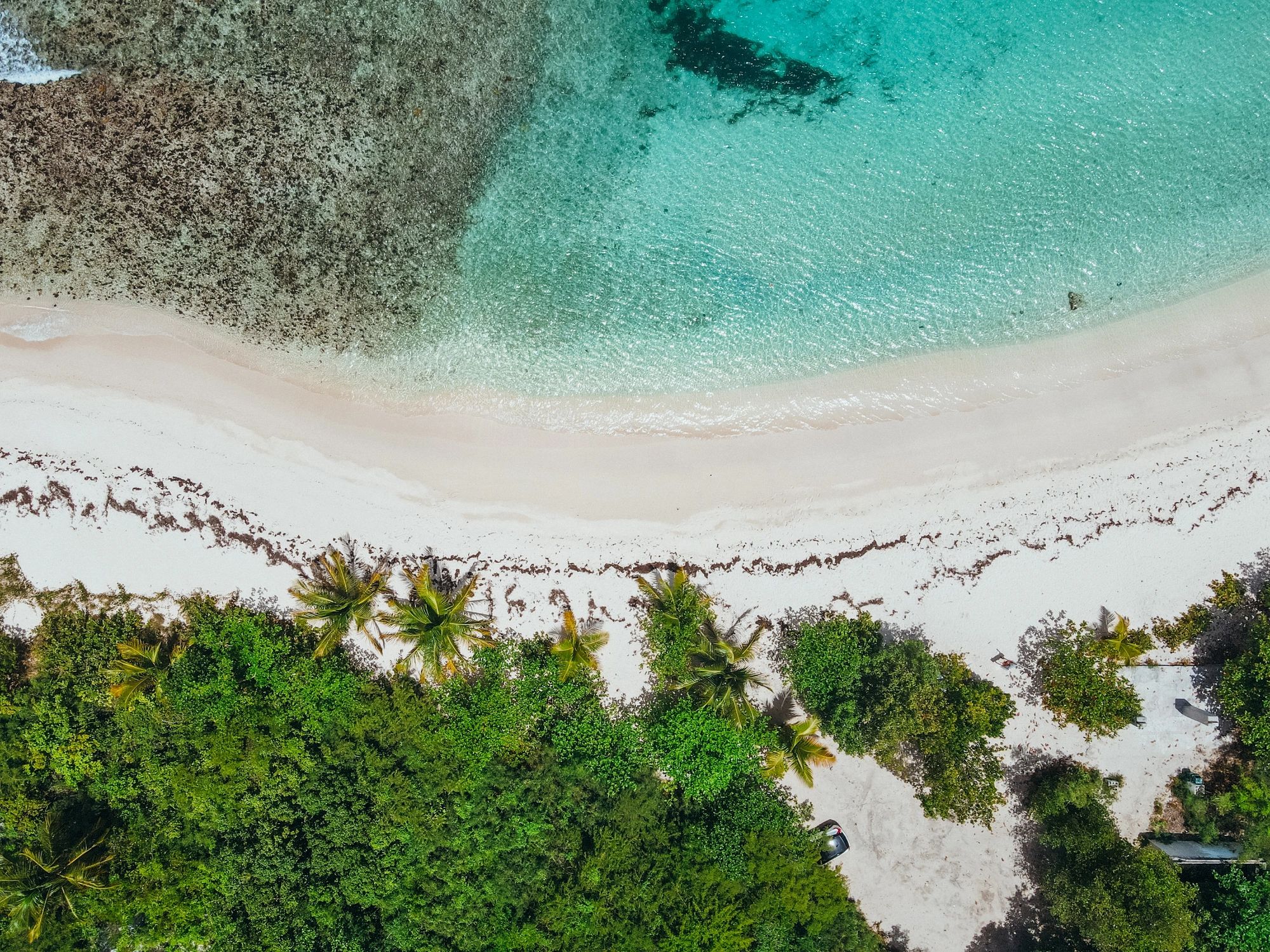 Top-down view of tropical beach and clear water